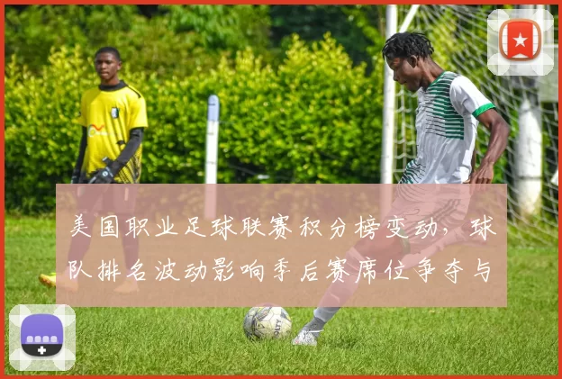 美国职业足球联赛积分榜变动,球队排名波动影响季后赛席位争夺与出线形势