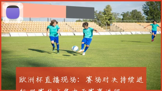 欧洲杯直播现场：赛场对决持续进行 观赛焦点集中于赛事进程