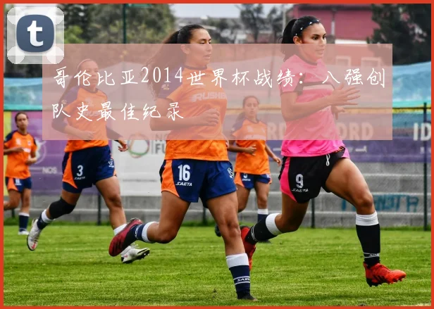 哥伦比亚2014世界杯战绩:八强创队史最佳纪录