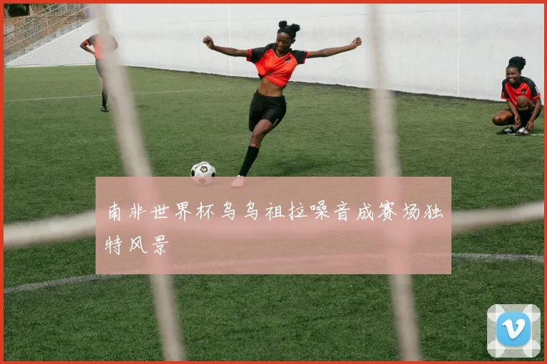 南非世界杯乌乌祖拉噪音成赛场独特风景