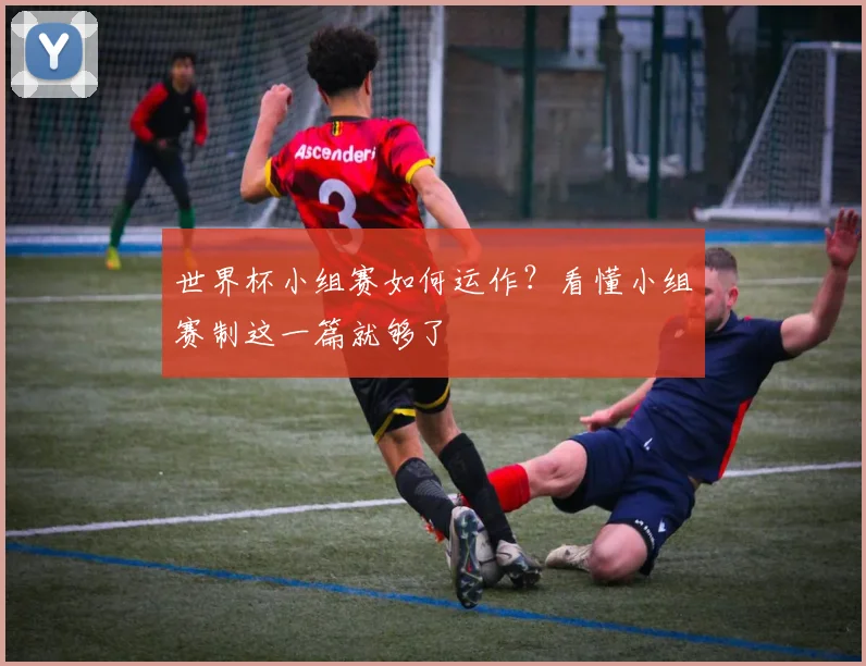 世界杯小组赛如何运作？看懂小组赛制这一篇就够了